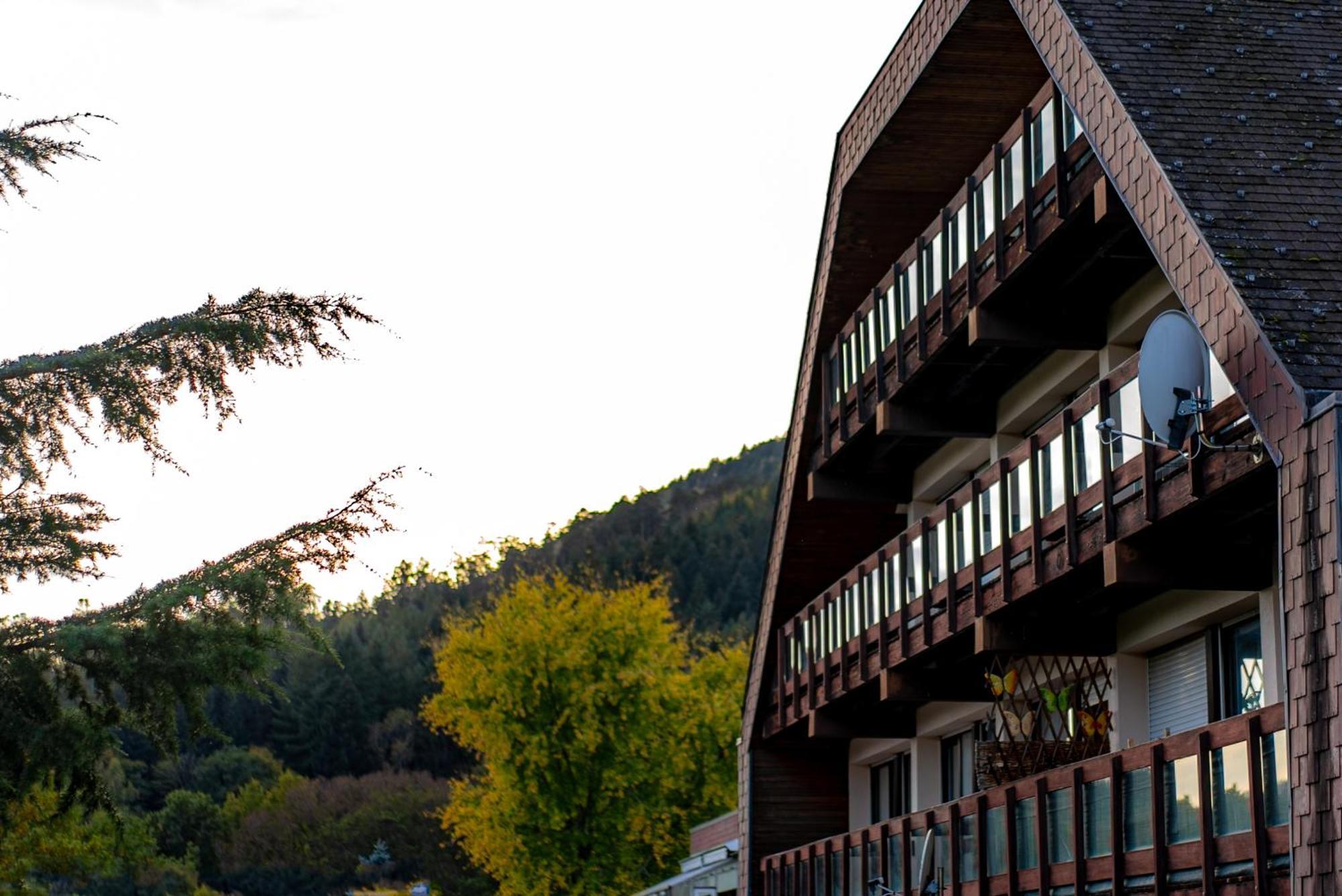 Village Vacances Cap France La Bolle Saint-Die-des-Vosges Exterior foto